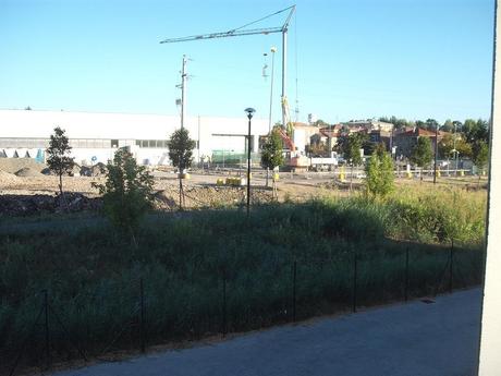 Gigliati – Azalee:  acqua sul fuoco, e la polemica sale di livello.