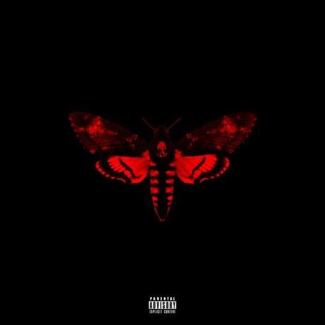 themusik lil wayne i am not a human being album Lil Wayne pubblica il nuovo album I am not a human being II
