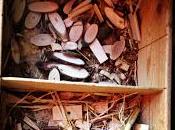 farmacia cosa giusta.