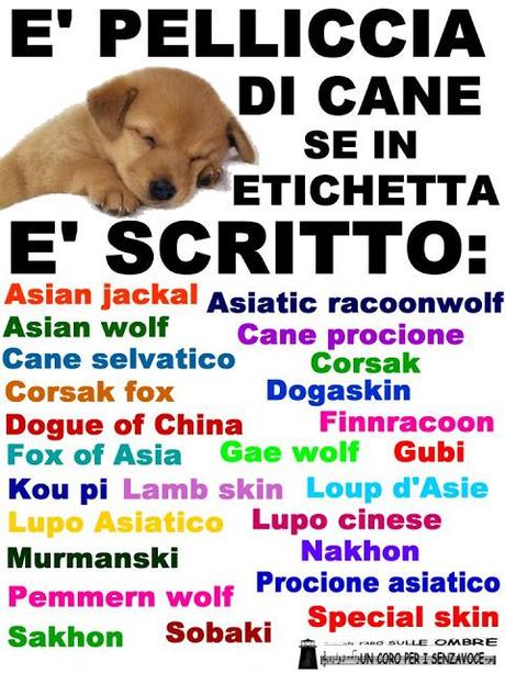 Attenti all'etichetta: pelliccia di cane o gatto?