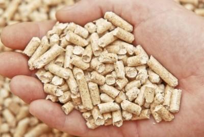 Stufe a pellet: tutto ciò che bisogna sapere