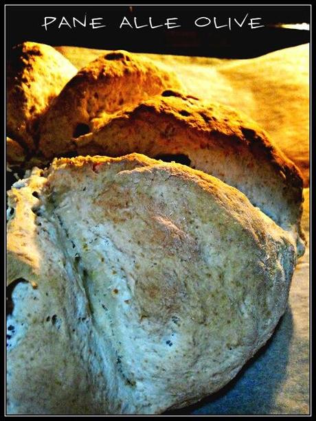 AUSSIE OLIVE DAMPER BREAD (PANE ALL'OLIO CON OLIVE)