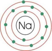 sigillo10 La fisica quantistica nellantichità?