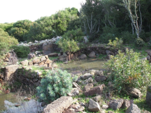 shard17 300x225 Sardegna: Scoperta una città Shardana nella foresta!