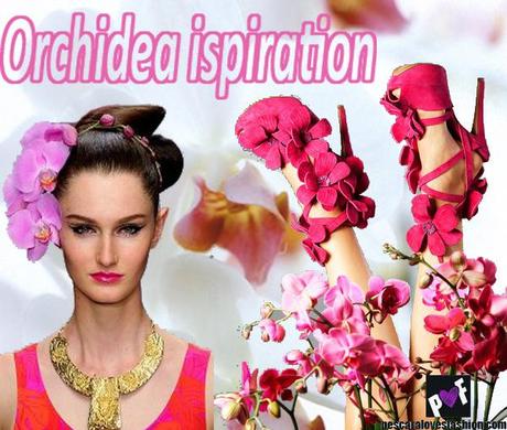 Orchidea Ispiration SS 2013