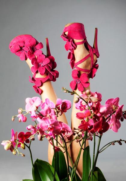 Orchidea Ispiration SS 2013