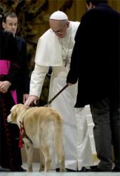 Papa Francesco scende dalla jeep per accarezzare un disabile