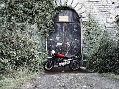 Readers ride: SLR 650 scram