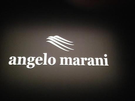Focus on: Angelo Marani fashion show Fw2013