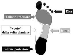 Analisi del Piede su Podoscopio