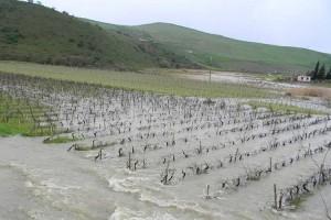 Esonda il fiume Belice, danni a Castelvetrano e nell'agrigentino