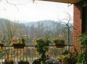 B&amp;B; terrazza Po”, comfort relax cuore Torino