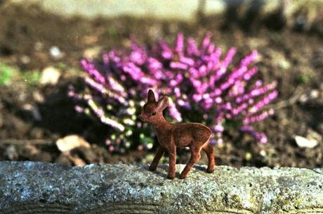 Little Fawn fa il suo primo giro in giardino