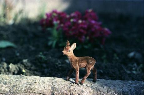 Little Fawn fa il suo primo giro in giardino