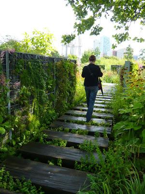 Garden of Giants_ Mutabilis Landscape Architecture