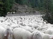 crederanno ancora cosa così?