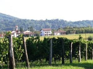 Cividale del Friuli - località Sanguarzo - vista dalla campagna