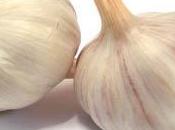 L’Aglio pianta straordinaria