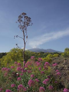 Aspettando Primavera