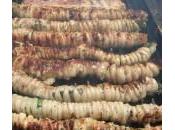 Storia cucina Stigghiole