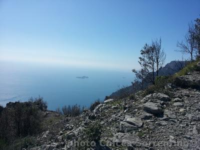 E' arrivata la Primavera ...