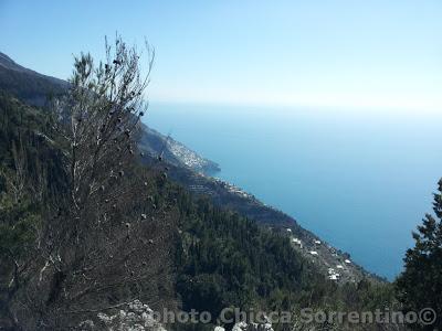 E' arrivata la Primavera ...