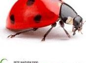 Fa.Re.Na.It. EDUCARE ALLA BIODIVERSITA’