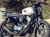 Harley Sportster 1200 "Scrambler" Burly Brand