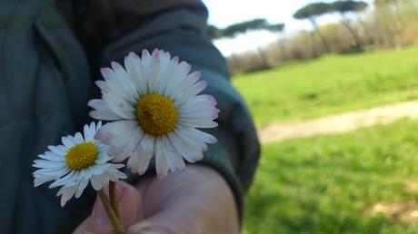 21 marzo: è arrivata ufficialmente la mia stagione preferita.