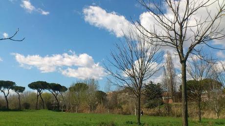 21 marzo: è arrivata ufficialmente la mia stagione preferita.