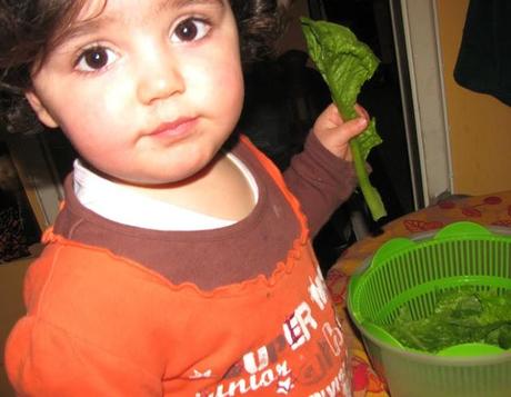 SEGNATI DI BLU, LEI LI ADORA - CAPPESANTE AL PESTO DI CEDRO E PISTACCHI CON PANCETTINA CROCCANTE