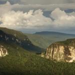 Amazon Rainforest in BrazilAmazonas Regenwald in Brasilien