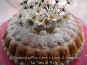 Ciambella soffice leggera cocco gocce cioccolato