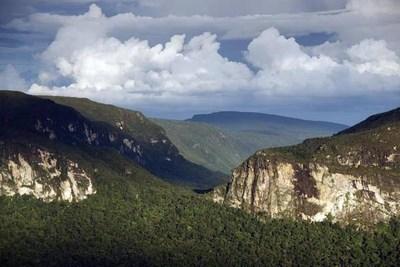 Foreste dell'Amazzonia