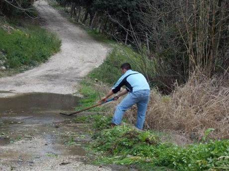 Puliamo insieme le sorgenti del Gargano, l'iniziativa dei giovani vichesi