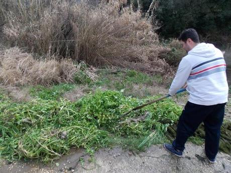 Puliamo insieme le sorgenti del Gargano, l'iniziativa dei giovani vichesi