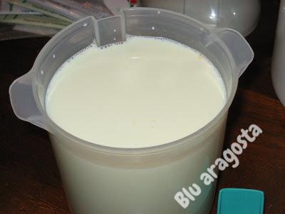 Yogurt home-made: io e Yogolife