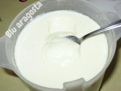 Yogurt home-made: io e Yogolife