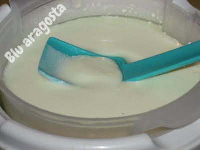 Yogurt home-made: io e Yogolife