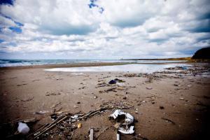 spiaggia magaggiari ripuliamo cinisi terrasini