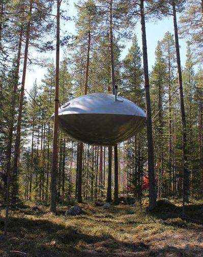 Tree Hotel