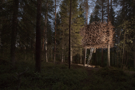 Tree Hotel