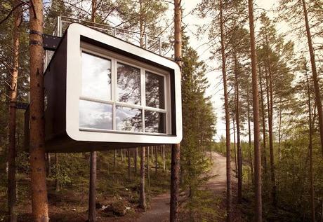 Tree Hotel