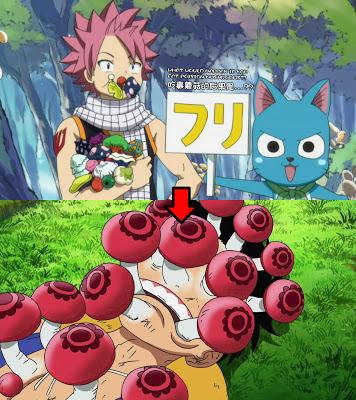 Fairy Tail Plagia One Piece? Iniziamo l'Indagine...