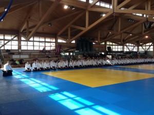 Aikido: mi fai stare bene! (Tendoryu Seminar Monaco2013)