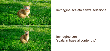 scala-in-base-al-contenuto