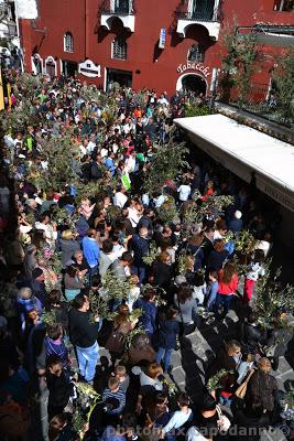 Domenica delle Palme a Positano