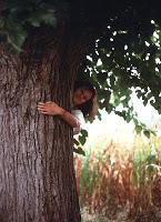 Vorrei tantoVorrei tantoEsser il tuo alberoStretto In un ...