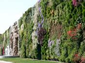 vertical garden