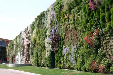 vertical garden